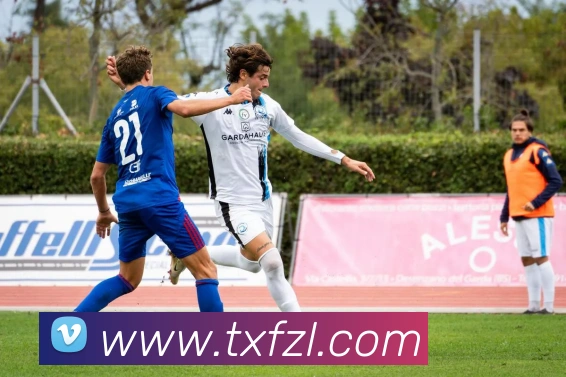 体育直播服务